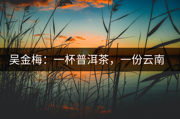 吳金梅：一杯普洱茶，一份云南情