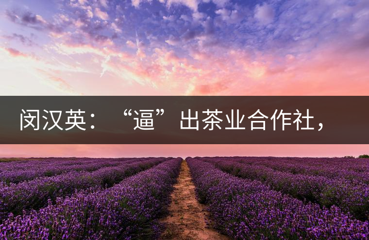 閔漢英：“逼”出茶業(yè)合作社，帶領(lǐng)村民走上致富路