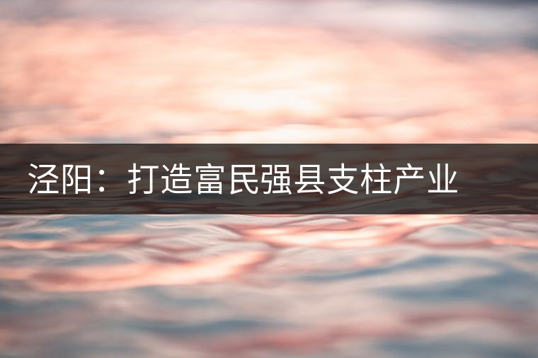 涇陽：打造富民強(qiáng)縣支柱產(chǎn)業(yè)  ——訪陜西省涇陽縣副縣長謝保衛(wèi)