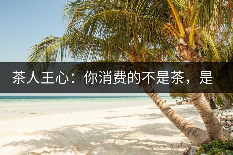 茶人王心：你消費(fèi)的不是茶，是我