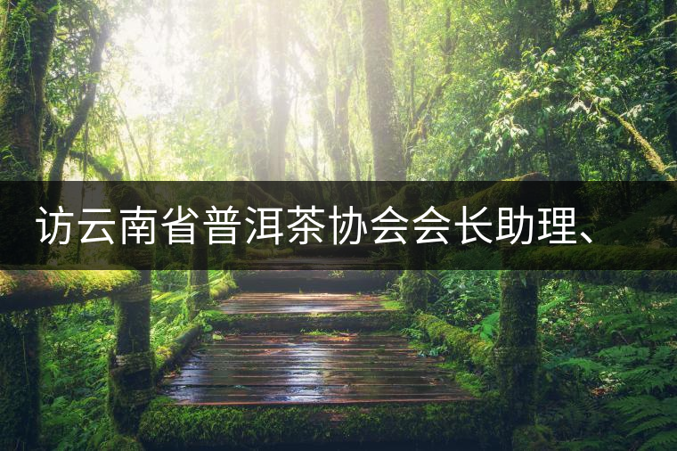 訪云南省普洱茶協(xié)會(huì)會(huì)長(zhǎng)助理、副秘書長(zhǎng)、茶界名人張明春
