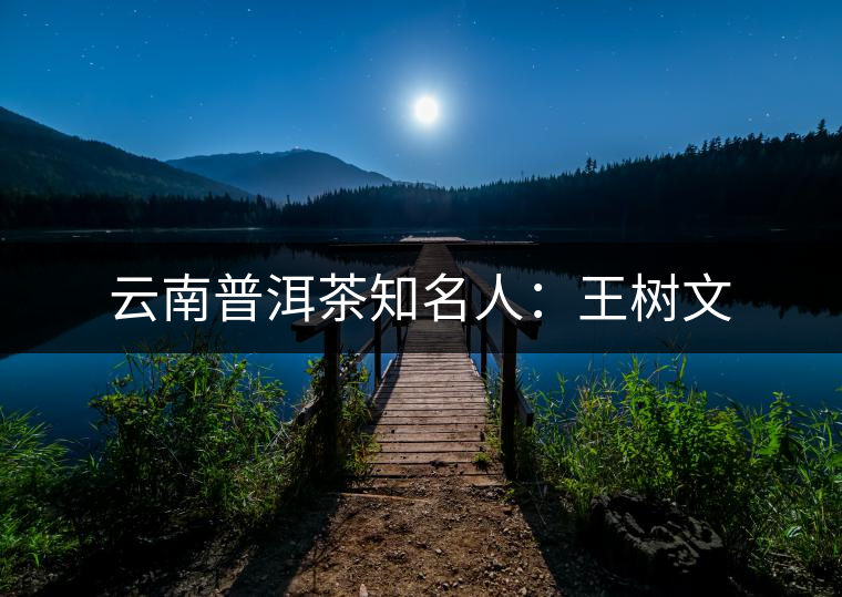 云南普洱茶知名人:王樹文 云南普洱茶知名人:王樹文