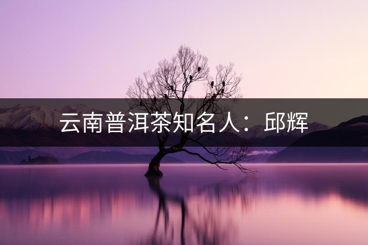 云南普洱茶知名人:邱輝 云南普洱茶知名人:邱輝