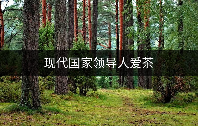 現(xiàn)代國(guó)家領(lǐng)導(dǎo)人愛茶