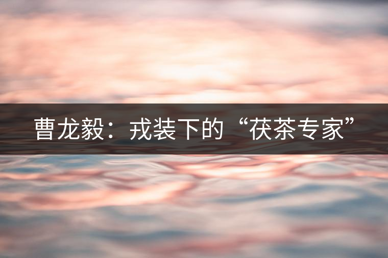 曹龍毅:戎裝下的“茯茶專(zhuān)家” 曹龍毅:戎裝下的“茯茶專(zhuān)家”