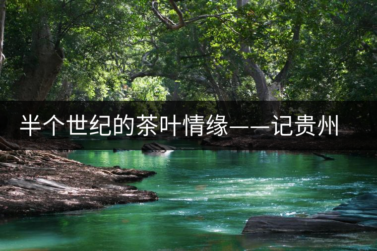 半個(gè)世紀(jì)的茶葉情緣——記貴州茶葉終身成就獎(jiǎng)獲得者汪桓武