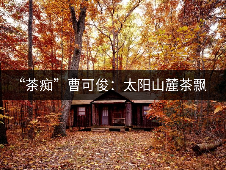 “茶癡”曹可?。禾柹铰床栾h香，清明時節(jié)采茶忙