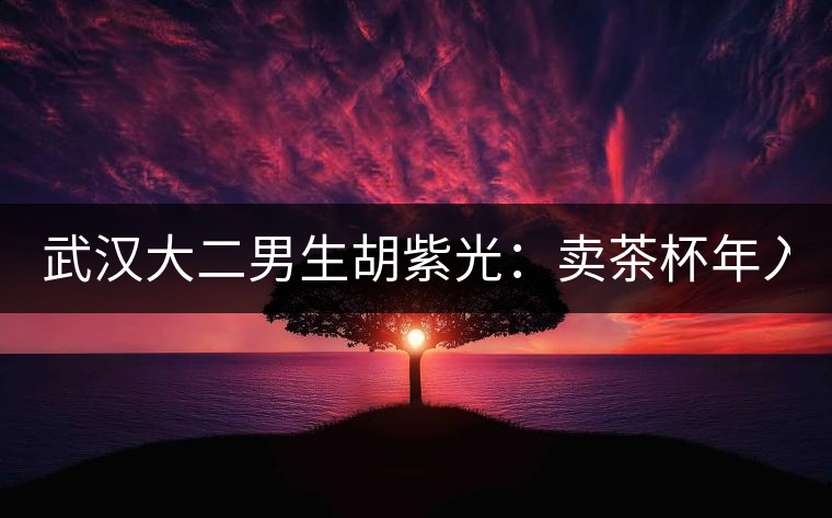 武漢大二男生胡紫光：賣茶杯年入30萬(wàn)元