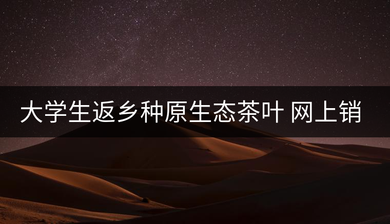 大學生返鄉(xiāng)種原生態(tài)茶葉 網(wǎng)上銷售獲好評 大學生返鄉(xiāng)種原生態(tài)茶葉 網(wǎng)上銷售獲好評