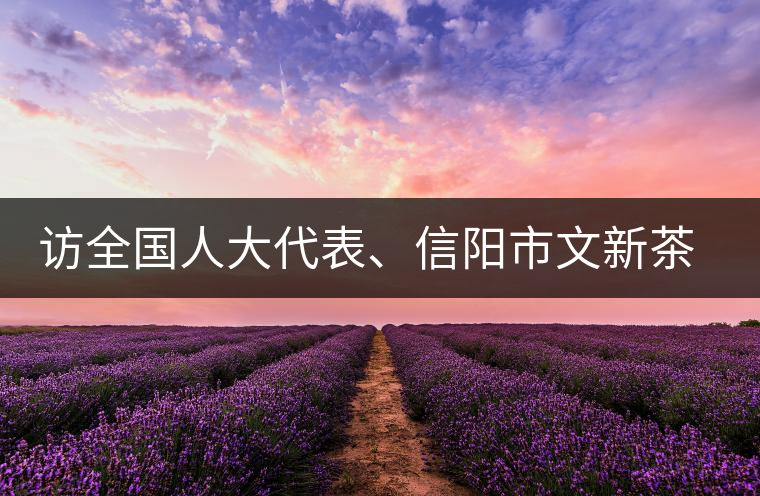 訪全國(guó)人大代表、信陽(yáng)市文新茶葉有限責(zé)任公司董事長(zhǎng)劉文新
