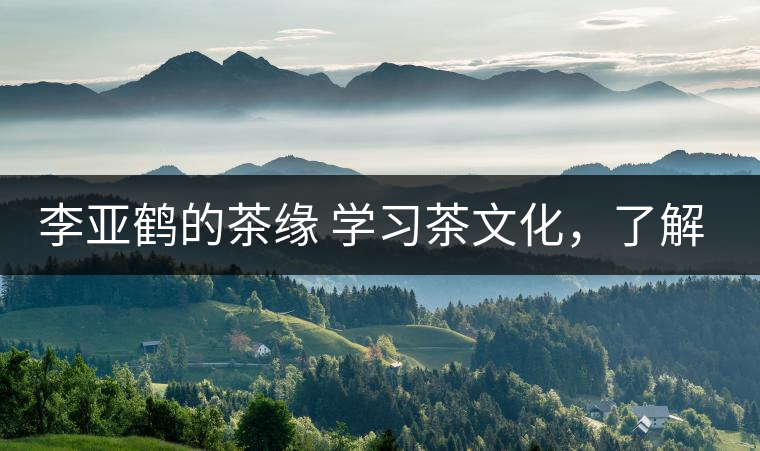 李亞鶴的茶緣 學(xué)習(xí)茶文化，了解茶文化，品味茶文化