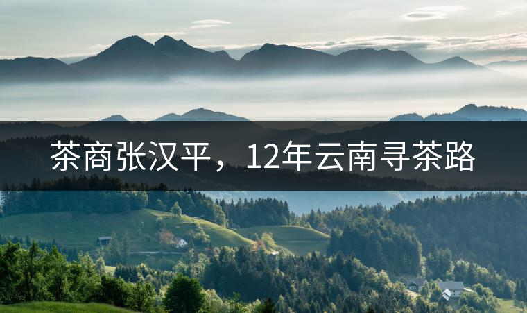 茶商張漢平，12年云南尋茶路