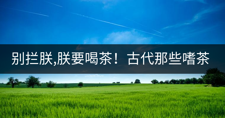 別攔朕,朕要喝茶！古代那些嗜茶如命的皇帝