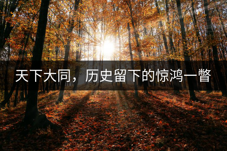 天下大同，歷史留下的驚鴻一瞥