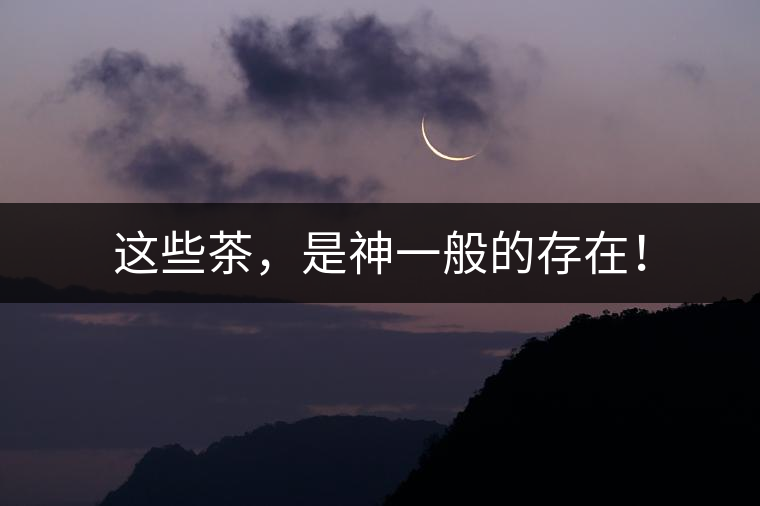 這些茶，是神一般的存在！