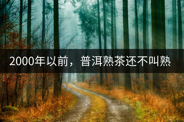 2000年以前，普洱熟茶還不叫熟茶