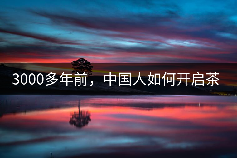 3000多年前，中國人如何開啟茶生活？