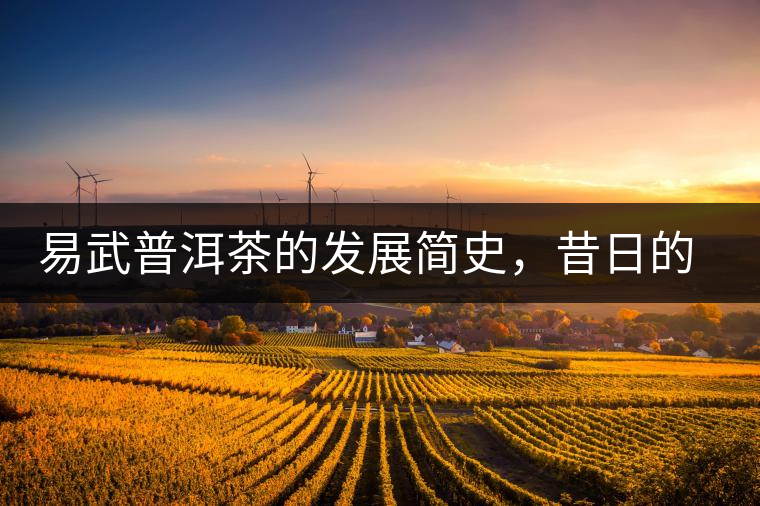 易武普洱茶的發(fā)展簡(jiǎn)史，昔日的貢茶如今依然輝煌