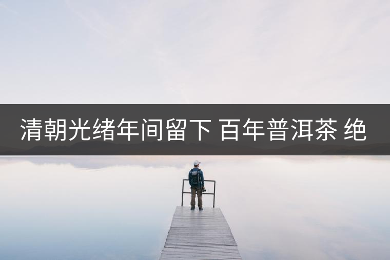 清朝光緒年間留下 百年普洱茶 絕對珍品 難得一見