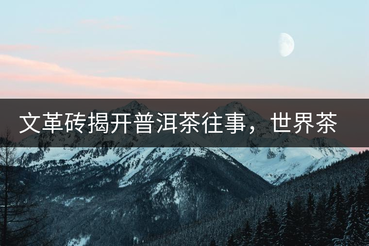 文革磚揭開普洱茶往事，世界茶文化交流協(xié)會成員共品經(jīng)典文革磚！