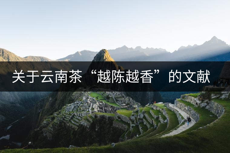 關(guān)于云南茶“越陳越香”的文獻資料，你看這篇就夠了