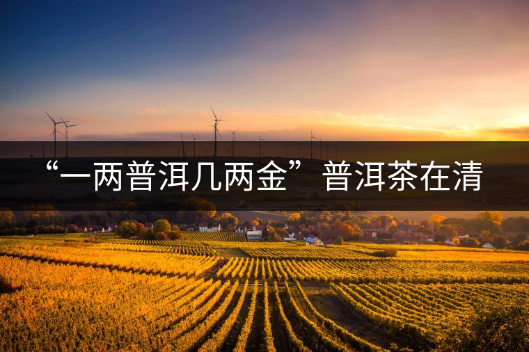 “一兩普洱幾兩金”普洱茶在清代為啥這么火？！