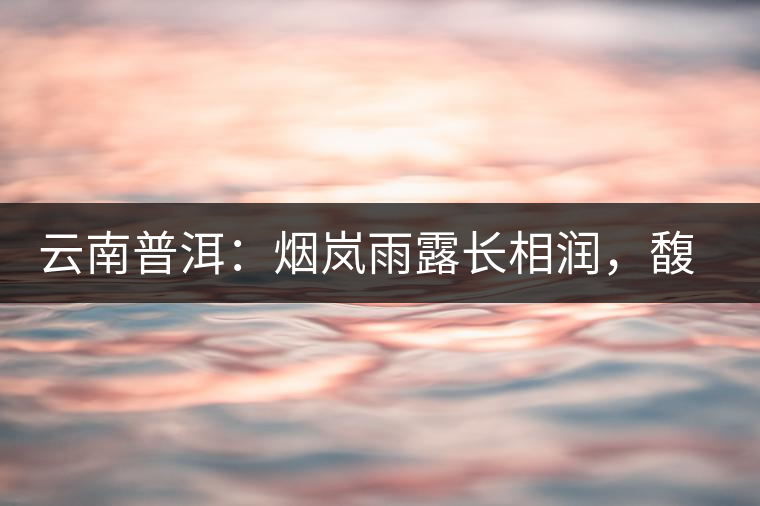 云南普洱：煙嵐雨露長相潤，馥郁芳香久久留