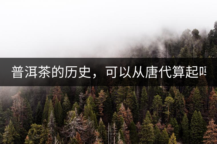 普洱茶的歷史，可以從唐代算起嗎？