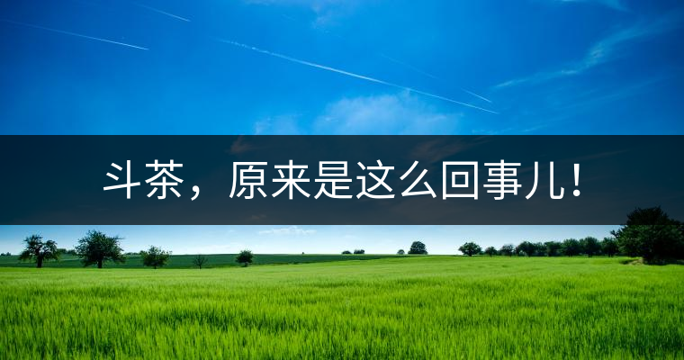 斗茶，原來是這么回事兒！