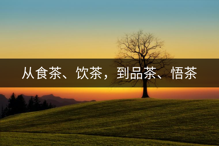 從食茶、飲茶，到品茶、悟茶