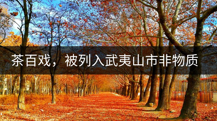 茶百戲，被列入武夷山市非物質(zhì)文化遺產(chǎn)的茶湯