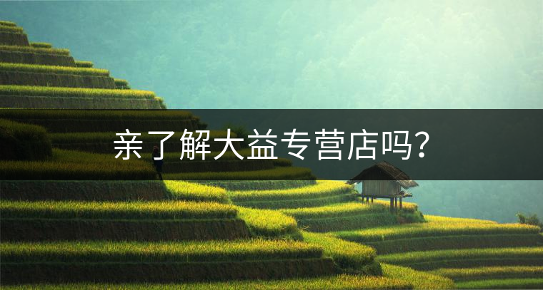 親了解大益專營店嗎？