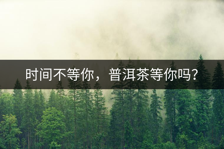 時(shí)間不等你，普洱茶等你嗎？