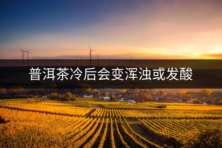 普洱茶冷后會(huì)變渾濁或發(fā)酸 普洱茶冷后會(huì)變渾濁或發(fā)酸