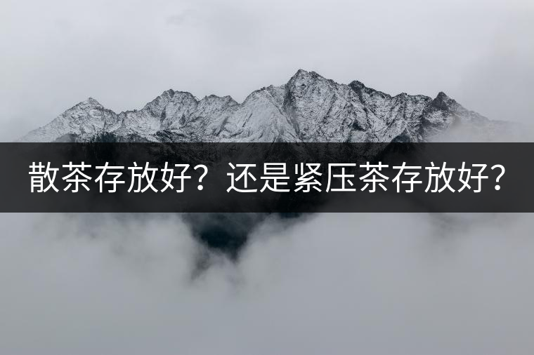 散茶存放好？還是緊壓茶存放好？