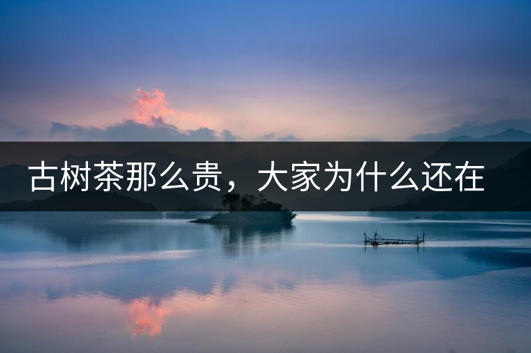 古樹(shù)茶那么貴，大家為什么還在瘋狂追求？