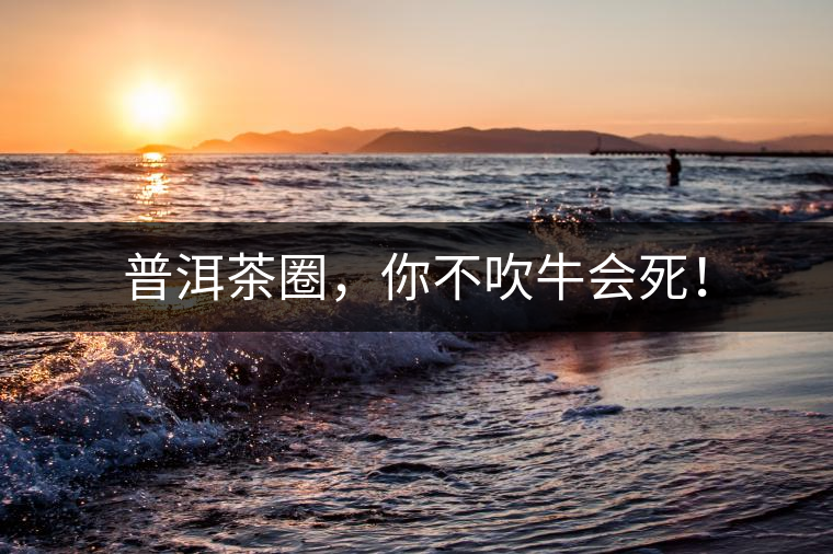 普洱茶圈，你不吹牛會死！