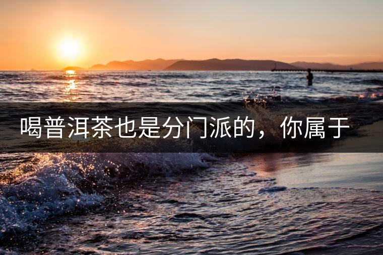 喝普洱茶也是分門派的，你屬于哪派呢？