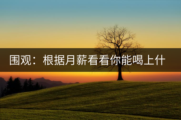 圍觀：根據(jù)月薪看看你能喝上什么茶？