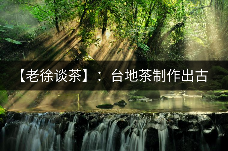 【老徐談茶】：臺(tái)地茶制作出古樹茶口感？只需一招，輕松騙過你 ?