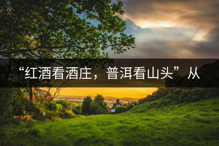 “紅酒看酒莊，普洱看山頭”從這里秒懂普洱茶的未來