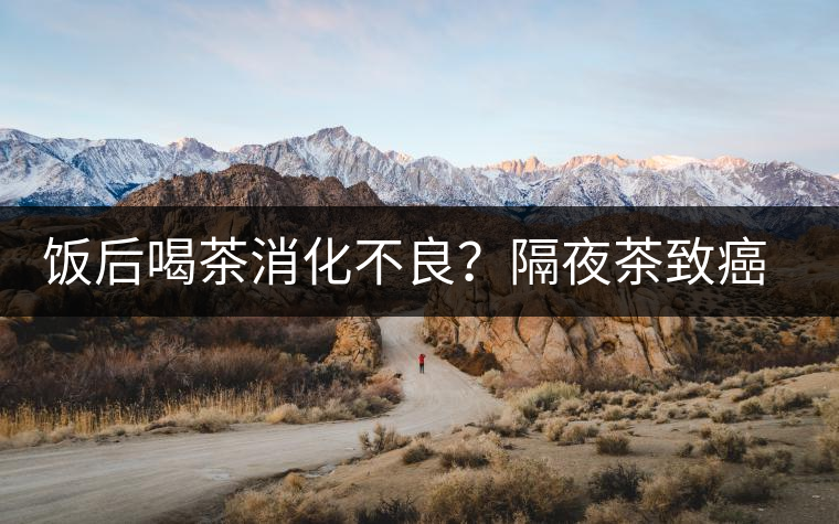 飯后喝茶消化不良？隔夜茶致癌？9個喝茶流言你該好好分個真假