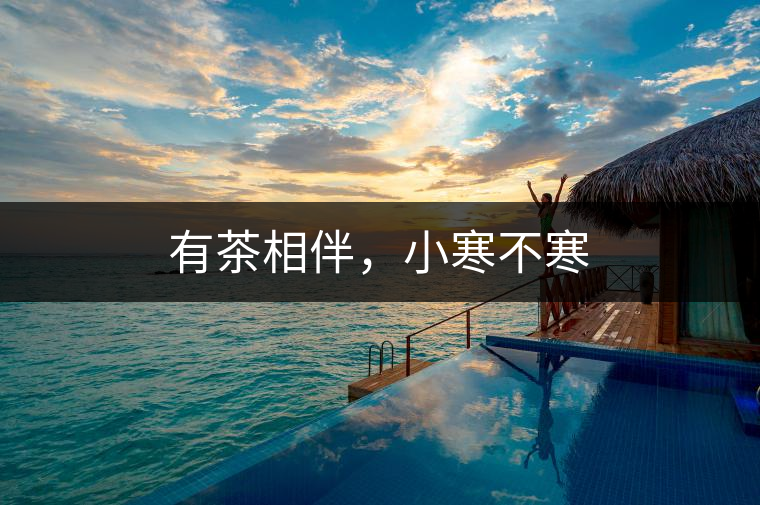 有茶相伴，小寒不寒