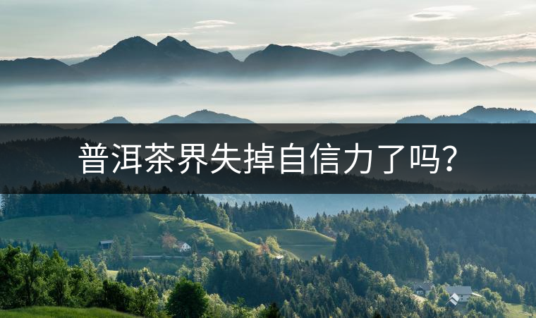 普洱茶界失掉自信力了嗎？