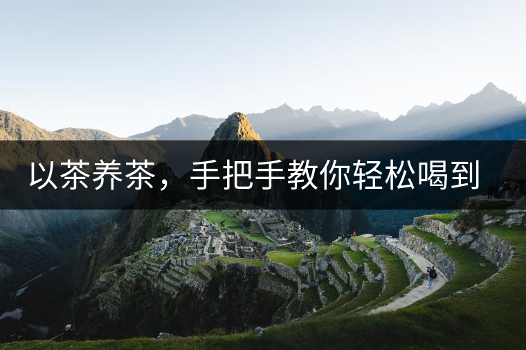 以茶養(yǎng)茶，手把手教你輕松喝到好普洱茶