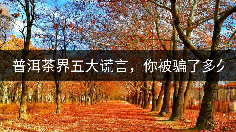 普洱茶界五大謊言，你被騙了多久？