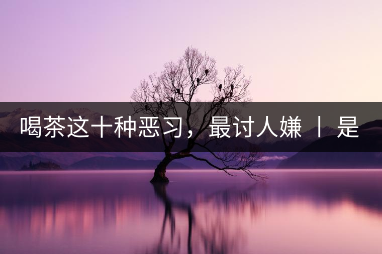 喝茶這十種惡習，最討人嫌 丨 是否同感？