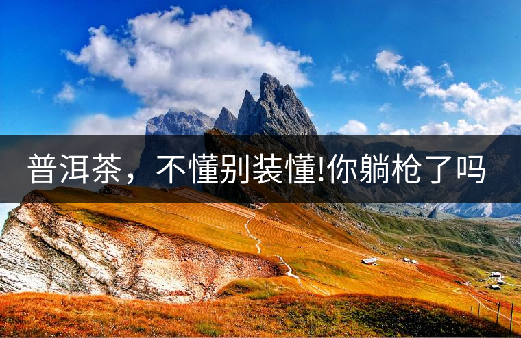 普洱茶，不懂別裝懂!你躺槍了嗎?