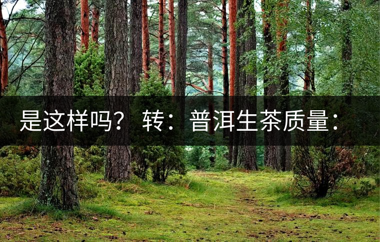 是這樣嗎？ 轉(zhuǎn)：普洱生茶質(zhì)量：大廠和小廠沒有區(qū)別