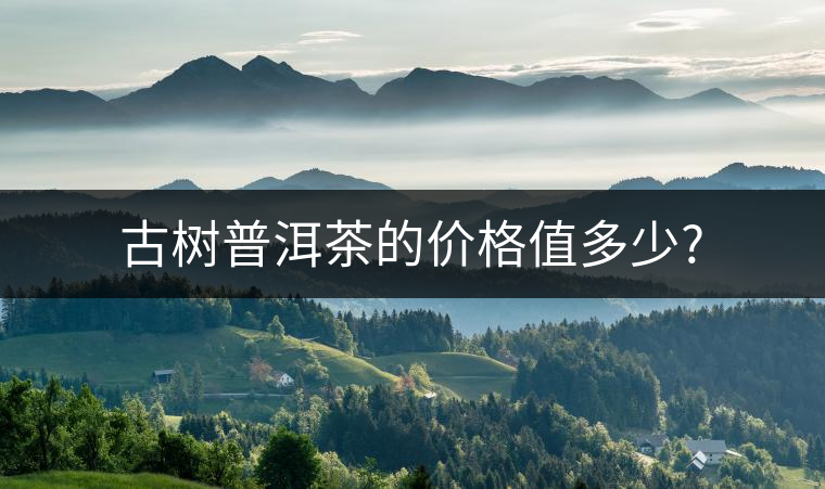 古樹普洱茶的價(jià)格值多少?